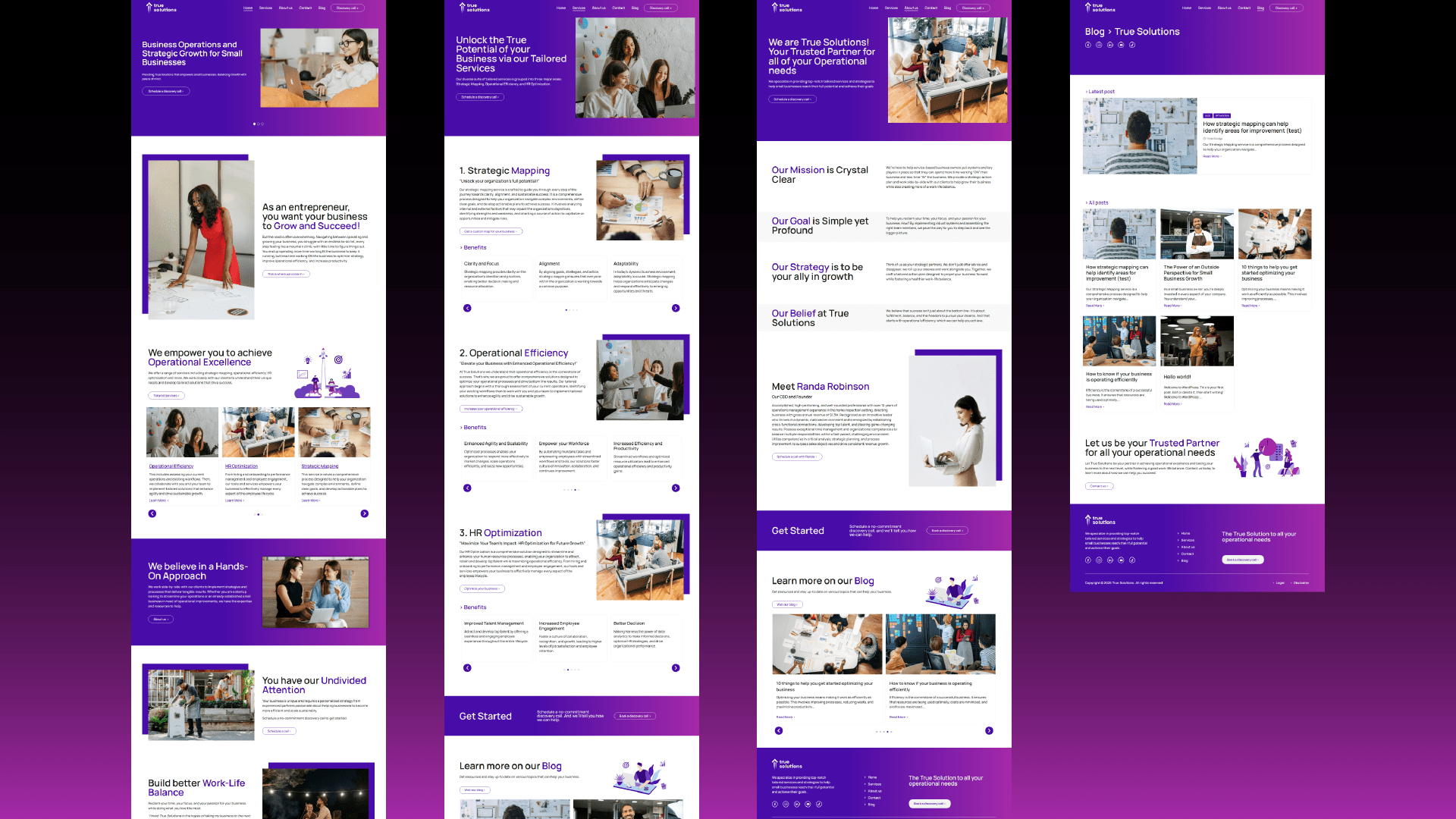 True Solutions messaging review and website mockups